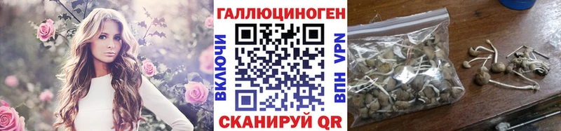 мега зеркало наркошоп Сорочинск Галлюциногенные грибы Cubensis